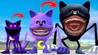 EVOLUTION OF NEW CATNAP CARTOON CAT SMILING CRITTERS POPPY PLAYTIME CHAPTER 3 In Garry's Mod!