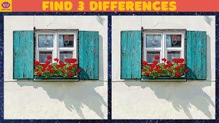 [Find the Difference] Puzzle Game - Part 315