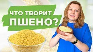 От чего спасет тебя пшено? Полезные свойства пшена от А до Я