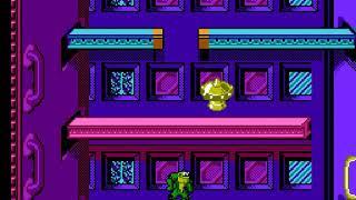 Battletoads (NES) All Warp Zones