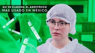 VISITÉ UNA FABRICA DE ANESTÉSICOS DENTALES  Zeyco