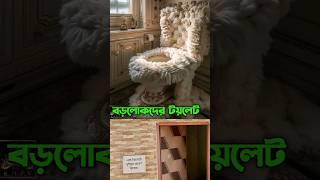 বড়োলোকদের টয়লেট। #shorts #shortsvideo