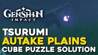 Genshin Impact Autake Plains Cube Puzzle Solution (Tsurumi Island)