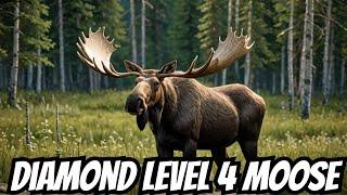 Huge Diamond Level 4 Moose On A Yukon Valley Hunt | TheHunter Call Of The Wild