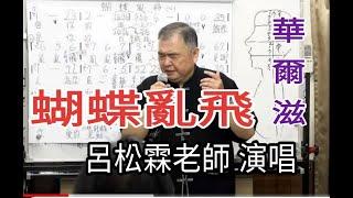 歌曲：蝴蝶亂飛  #演唱：呂松霖老師 #原唱：蘇宥蓉