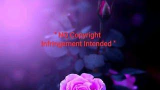 " No Copyright Infringement Intended " Meaning.