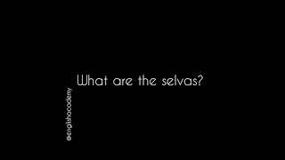 what are the selvas?