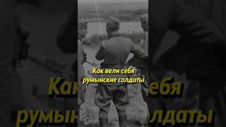 Как вели себя румынские солдаты #историяроссии #история #россия #ссср #румыния #вов