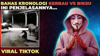 BAHAS!! KRONOLOGI KERBAU VS BIKSU YANG VIRAL DI TIKTOK || VIRAL NEWS