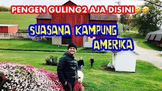 JALAN KE KAMPUNG AMISH AMERIKA YANG UNIK (1)