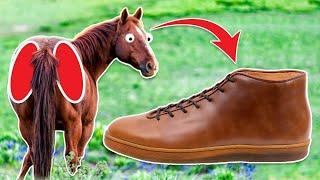 ($910) Why horse butt cheek sneakers cost $$$