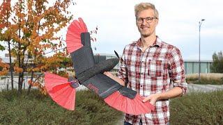 Raptor-inspired drone with morphing wing and tail