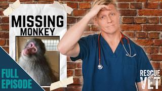 Monkey missing in the Scottish Highlands - huge search & rescue mission! | Rescue Vet with Dr Scott