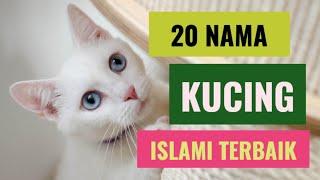 20 Nama kucing yang bagus dalam Islam lengkap dengan artinya