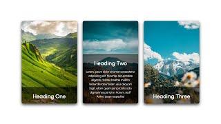 responsive Css card hover effect 2022 || CodingWithFahim