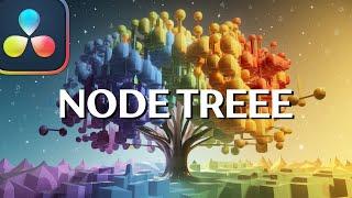 Beginner's Guide: Master Your First DaVinci Resolve Node Tree