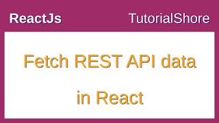 How to fetch REST API data in React