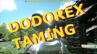 ARK Survival Evolved - Приручаем Додорекса 104lvl/Dodorex 104lvl Taming