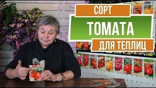 Лучший Томат для теплиц  Сорт Томат Мадам Клико  Советы от Garden-zoo.ru сад