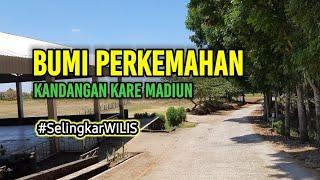 Bumi Perkemahan Kandangan Kare Madiun, Tempat Kemah Dengan View Gunung Wilis