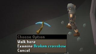 I am now immortalized in Runescape