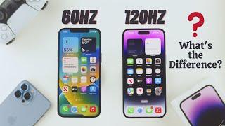 iPhone 14 Pro/Pro Max: How to Turn ON/OFF 120Hz Pro Motion Refresh Rate! [DISPLAY MODE]