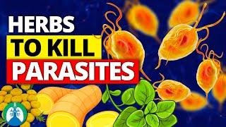 Top 10 Best Herbs for Parasites (Natural Detox and Cleanse)