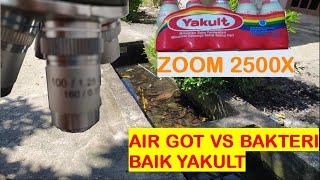 Bad Bacteria In The Sewer VS Yakult Good Bacteria