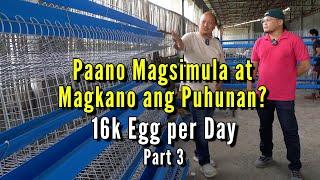 Magkano ang Puhunan at  Paano Magsimula -16k Eggs Per Day Episode 3