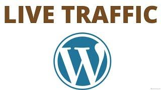 How to see Live Traffic / Visitors on Wordpress