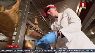 Беларусь наращивает объёмы поставки мясной продукции на экспорт