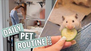 Daily Pet Routine 2022
