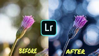 How to edit Moody Blue using Lightroom Mobile!  || Photofreak Guy Easy Tutorial