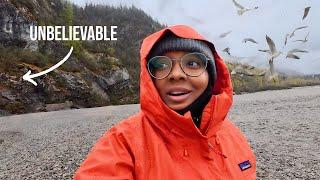 Solo Nomad Life|168 Hour Alaskan Cruise|Hiked A Bear Trail To See This |Part 2