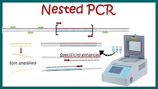 Nested PCR || Principle and usage