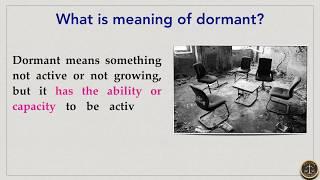 What is Dormant Company?