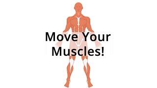 Move Your Muscles!