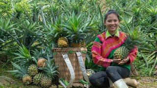 Life Without Men - Sick Baby Han, Harvesting Pineapples & Taking Care of Children