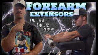 Don’t Neglect Your Forearm Extensors (Very Important)