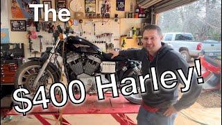 1999 Harley Davidson Sportster 1200 project for $400!
