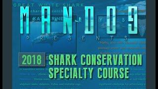 mandogsays - Conservation Course // Sharks !!