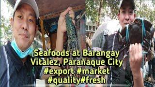 Bagsakan ng murang Seafood at Barangay Vitalez, Parañaque City export market quality fresh