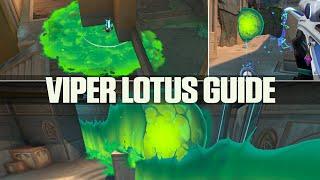 VIPER GUIDE LOTUS / Setups and Lineups