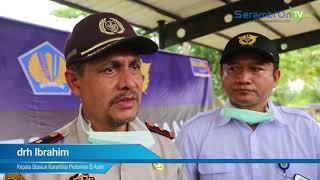 Kanwil DJBC Aceh - Ayam Jago Seludupan Dimusnahkan (Serambi TV)