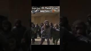 Original Planet of the Apes Movie Music Video Madlib Alchemist J Dilla type beat Sample hiphop lofi