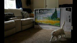 LG G1 Evo OLED Initial Setup, And Big LG Announcement