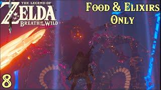 Zelda Breath of the Wild | Food & Elixirs Only [8] - Hyrule Castle