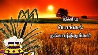 Happy Pongal 2021| Pongal whatsapp status 2021 | Pongal wishes| Pongal status video | #shorts