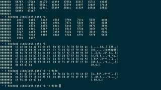 hexdump: file viewer in ASCII, decimal, octal, or hexadecimal