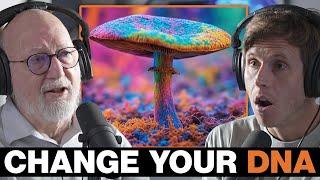 The Magic Mushroom Guru: This is the #1 Secret of Psychedelics | Dennis McKenna